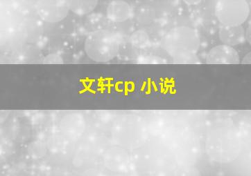 文轩cp 小说